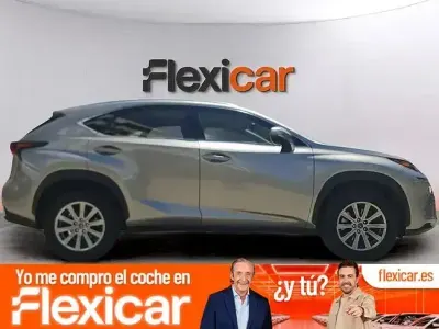 Usado Lexus NX300h Business Edition 197 CV (144 kW) 2020 Gris SUV
