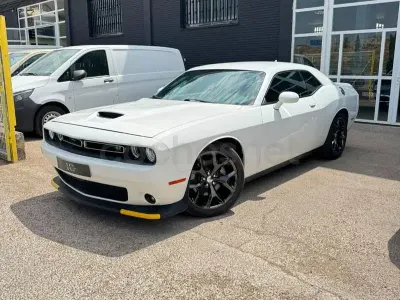 Usado Dodge Challenger