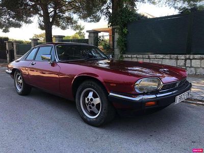 Burdeos Usado 1986 Jaguar XJS Coupe | 19.880 €