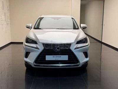 Usado Lexus NX300h Business Edition 197 CV (144 kW) 2019 Blanco SUV