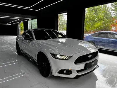 Usado Ford Mustang