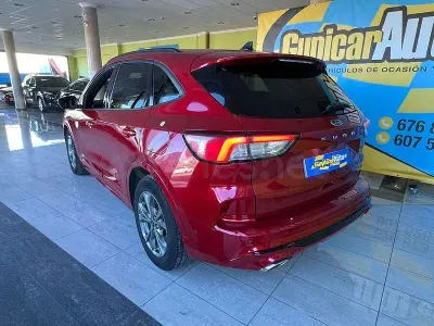 Usado Ford Kuga ST-Line 120 CV (88 kW) 2023 Rojo SUV