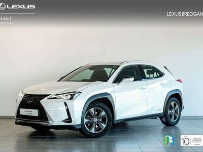 usado Lexus UX 250h BUSINESS NAVIGATION