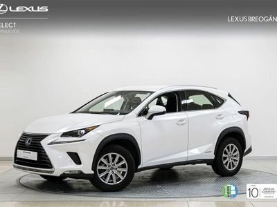 usado Lexus NX300h Business Navigation 2wd