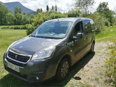 Occasion Peugeot Partner Tepee Active 100 ch (73 kW) 2016 Gris Monospace