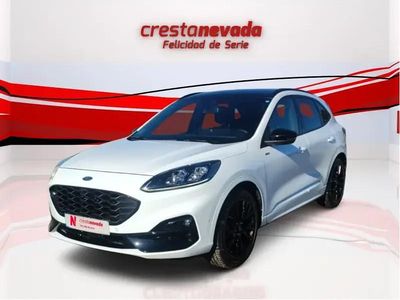 Usado Ford Kuga ST-Line X 190 CV (139 kW) 2024 SUV