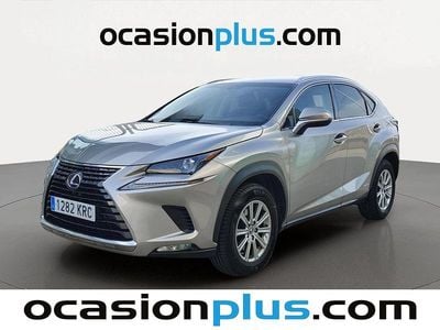 Usado Lexus NX300h Business Edition 197 CV (144 kW) 2018 Gris SUV
