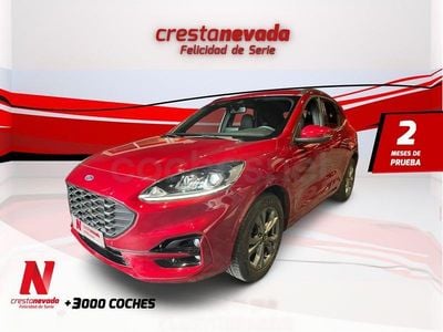 Używany Ford Kuga ST-Line 150 KM (110 kW) 2020 Czerwony SUV