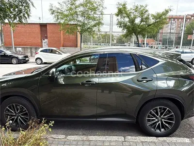 Usado Lexus NX450h+ Executive Line 306 CV (225 kW) 2024 Beige SUV