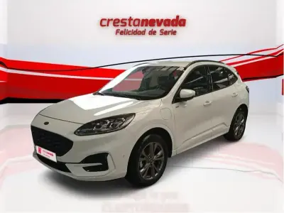 Używany Ford Kuga ST-Line X 225 KM (165 kW) 2022 Biały SUV