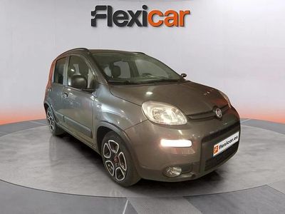 Usado Fiat Panda City Life 71 CV (52 kW) 2022 Gris Utilitario