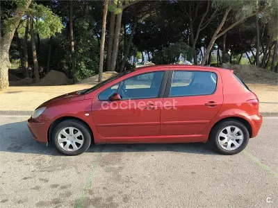 Usado Peugeot 307