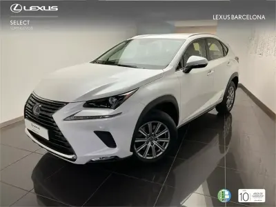 Usado Lexus NX300h Business Edition 197 CV (144 kW) 2020 Blanco SUV