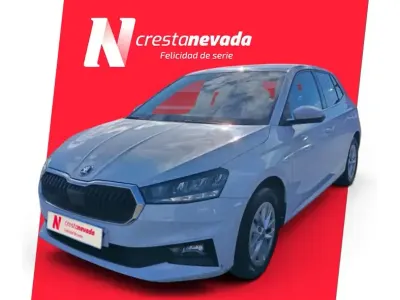 Usado Skoda Fabia