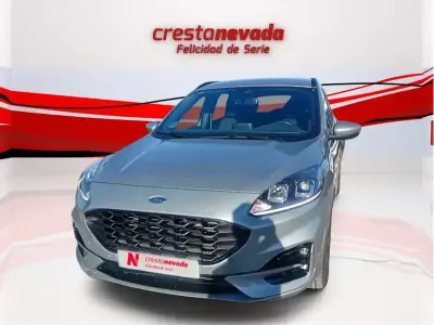 Używany Ford Kuga ST-Line 120 KM (88 kW) 2020 Szary SUV