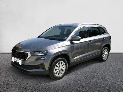 Usado Skoda Karoq