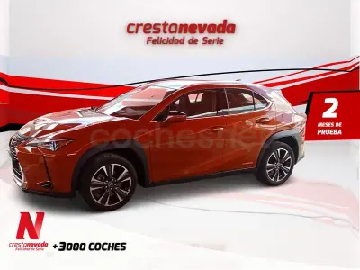 Usado Lexus UX Business Edition 184 CV (135 kW) 2022 Naranja SUV