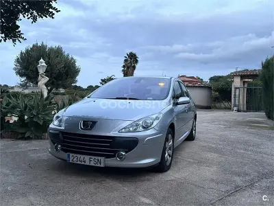 Usado Peugeot 307