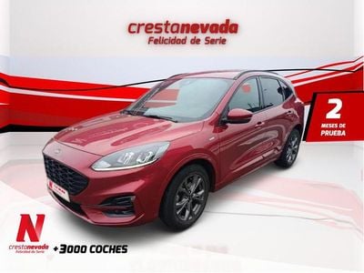 Usado Ford Kuga ST-Line 150 CV (110 kW) 2020 SUV