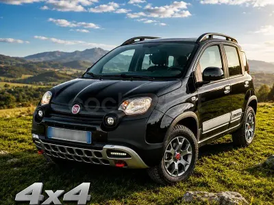 Usado Fiat Panda Cross