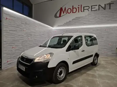 Usado Peugeot TePee