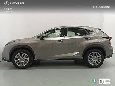 Usado Lexus NX300h Executive Line 197 CV (144 kW) 2014 Gris / plata SUV