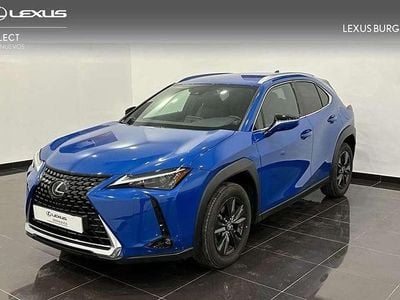 Lexus UX 250h