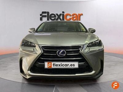 Usado Lexus NX300h 197 CV (144 kW) 2016 Gris SUV