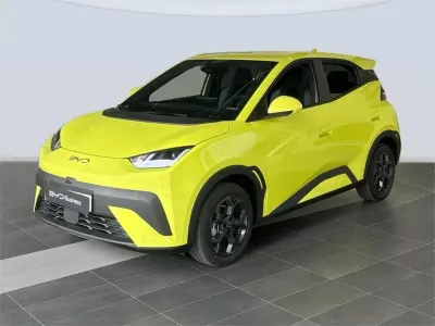 Usado BYD Dolphin Surf
