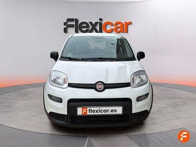 Usado Fiat Panda 70 HP (51 kW) 2023 Branco Citadino