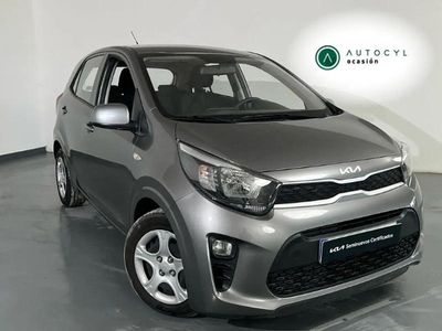 Brugt Kia Picanto 67 HK (49 kW) 2024 Grå Hatchback