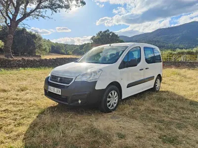 Usado Peugeot Partner Tepee