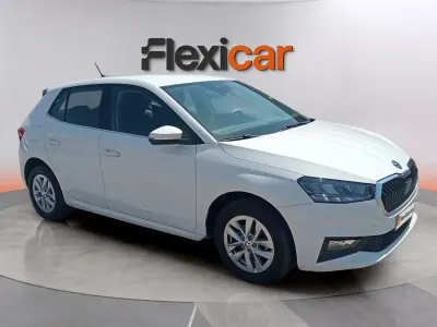 Usado Skoda Fabia