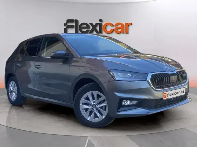 Occasion Skoda Fabia