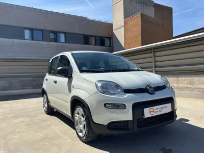 Usado Fiat Panda 71 HP (52 kW) 2023 Branco Citadino