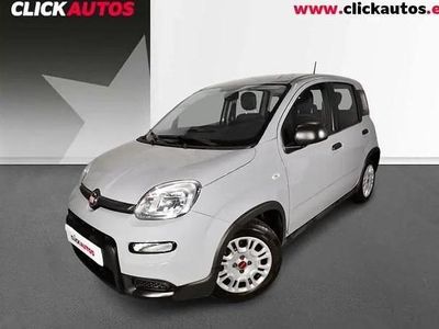 Używany Fiat Panda 70 KM (51 kW) 2023 Hatchback