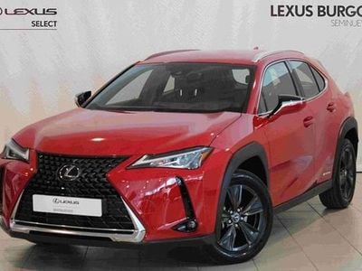 Usado Lexus UX 250h Business Edition 184 CV (135 kW) 2021 Rojo SUV