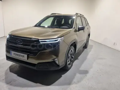 Usado Subaru Forester