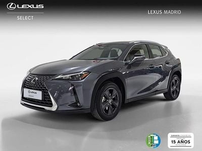 Usado Lexus UX 198 CV (145 kW) 2024 Gris SUV