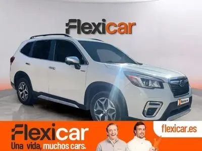 Usado Subaru Forester