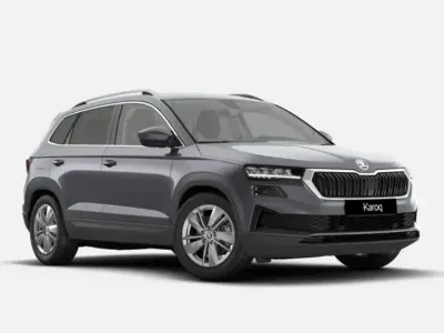 Usado Skoda Karoq