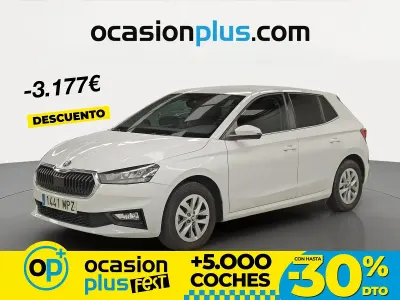 Brugt Skoda Fabia