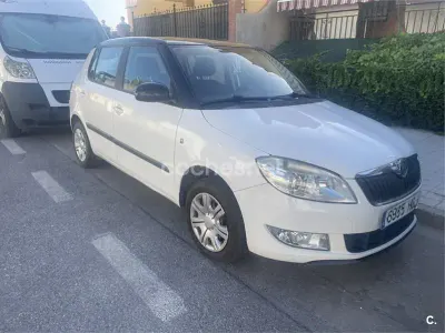 Usado Skoda Fabia