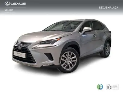 Usado Lexus NX300h Executive Line 197 CV (144 kW) 2018 Gris SUV