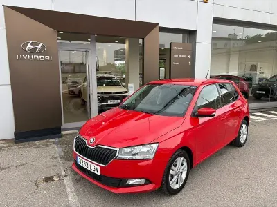 Brugt Skoda Fabia