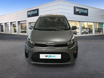 Usado Kia Picanto 67 CV (49 kW) 2024 Gris Utilitario