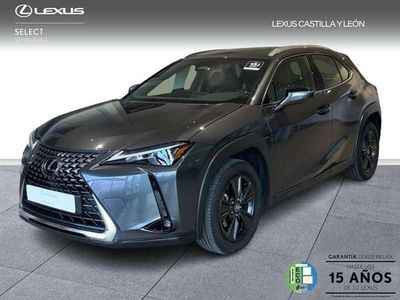 Usado Lexus UX 300h 199 CV (146 kW) 2024 Gris SUV