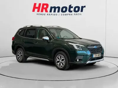 Usado Subaru Forester