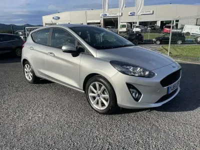 Usado Ford Fiesta Trend 75 CV (55 kW) 2021 Plata Utilitario