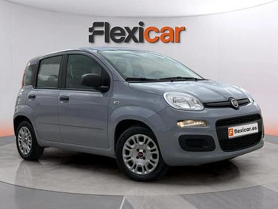 Usado Fiat Panda 71 CV (52 kW) 2022 Gris Utilitario